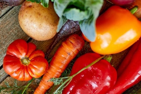 Community Food Access and Literacy Fund in Canada