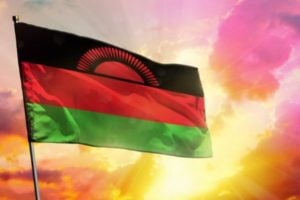 The Hilden Charitable Fund: Overseas Funding Program (Malawi)