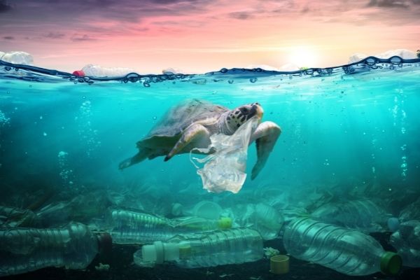 USAID Vietnam Action Against Plastic Pollution Activity