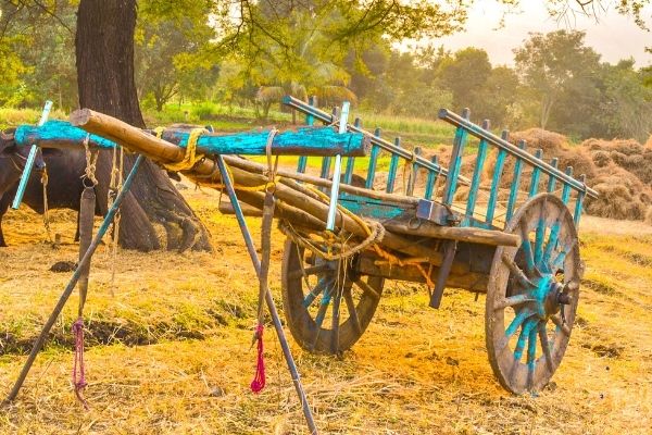 Grant Competition for Supporting Tourism Supply Chain Greening in Rural Areas (Georgia)