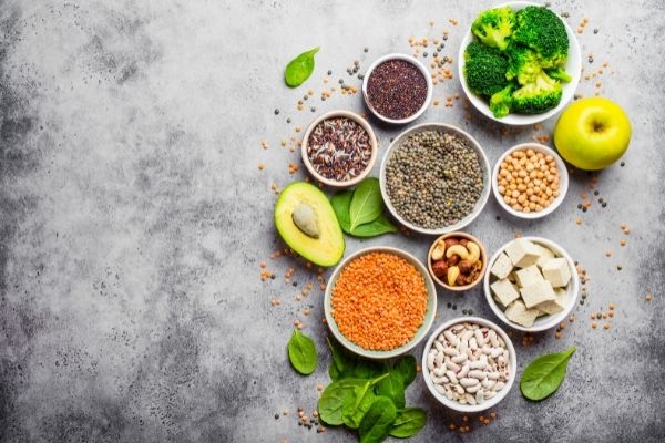 Open Call: Vegan Society Grant Program