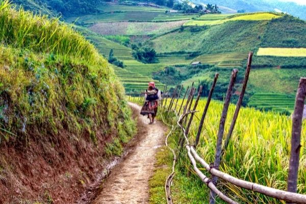 UNDP: Grant Competition for Development of Smart Villages in Georgia