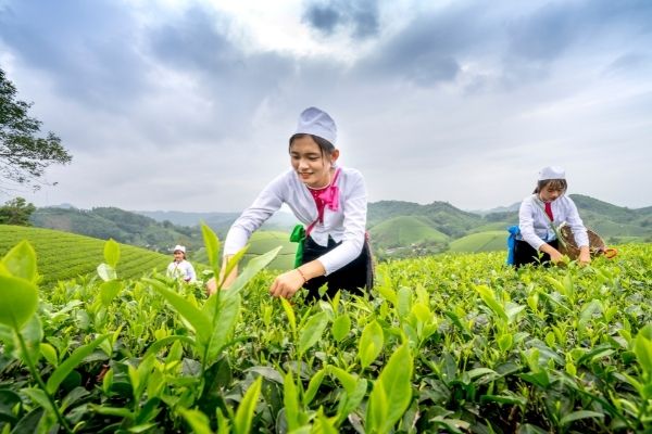 Call for Submissions: Images of Women-Led Solutions to Desertification