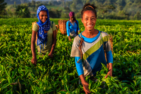 VALUE4HER Women Agripreneur of the Year Awards – WAYA 2022