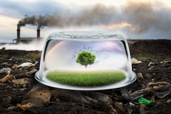 Entries open for the RELX Environmental Challenge