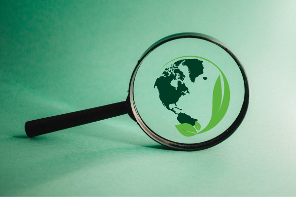 Funding Opportunity for Malaysian NGOs Involved in Environmental Protection