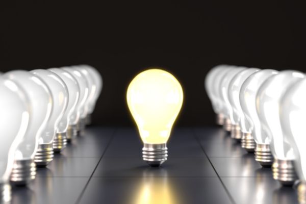 Applications Open for Focus Fund Endowment Program (US)