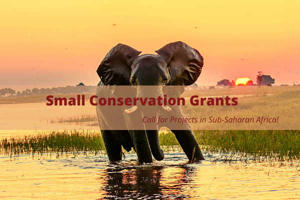 JRTF: Small Conservation Grants
