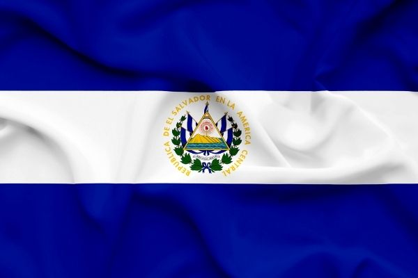 Open Call: Logistics support for the Gang Resistance Education And Training in El Salvador