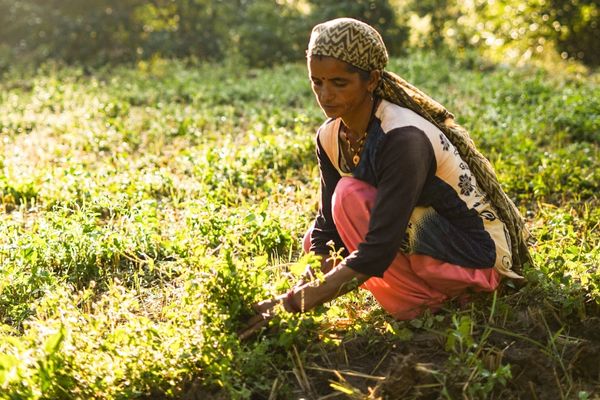 D4GX 2022 India Empowerment Challenge - Apply Now!
