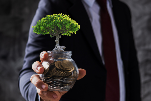 Waste Minimisation Seed Fund in New Zealand
