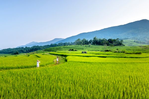 Growing and Rewarding Agripreneurship in Nutricereals Program (India)
