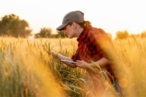 Professional Development Program Grants – United States