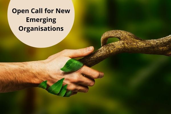PPI launches Call for Projects Proposals (€35,000 Grants available)
