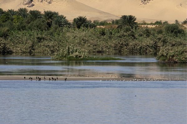 Sustainable Peace in Blue Nile State