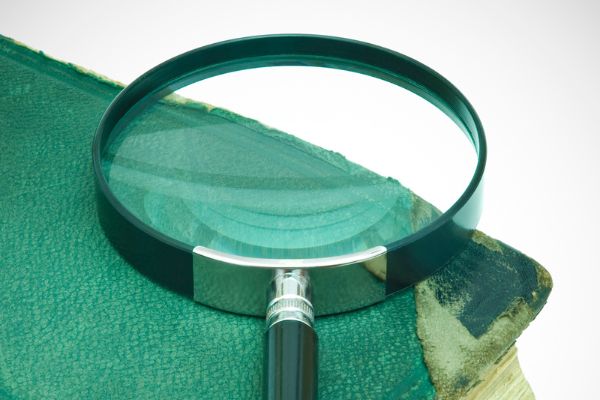 Up to $3000 USD available under Collaborative Investigation Grants