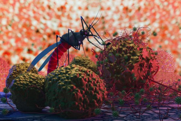 Call for Nominations: Malaria Champions of the Americas 2023 - fundsforNGOs Grants to strengthen Malaria Control for High-Risk Communities (Myanmar)