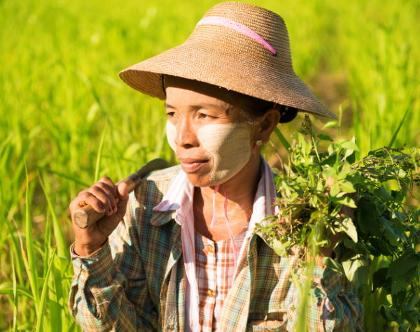 [Research Grants] Call for Proposals focusing on Climate Change, Health, Humanitarian, Economic Growth
