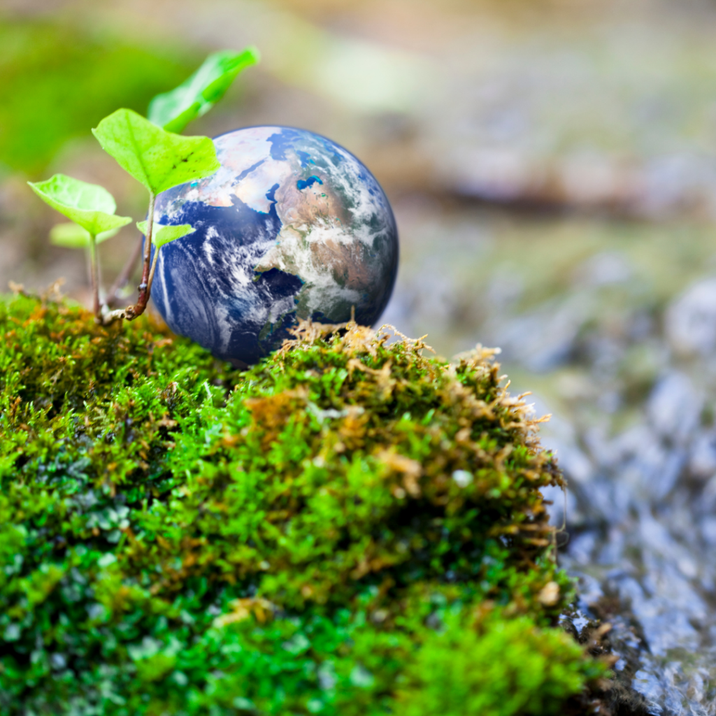 Professional Development Grants for Environmental Journalism