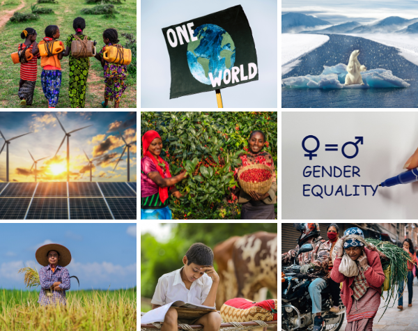 Global Change Makers: Leadership Coaching for the SDGs