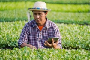 Call for Startups: 2023 THRIVE Global Impact Challenge