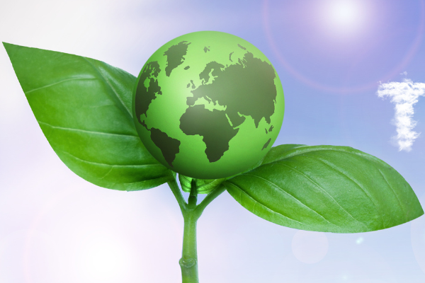 Call for Applications: 29th Eco-generation Regional Ambassadors Program
