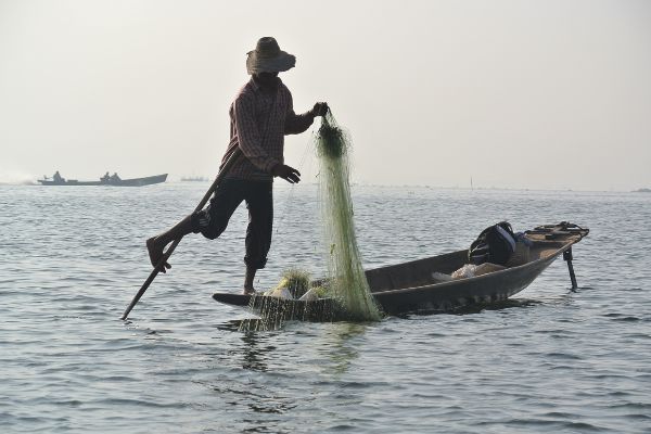 Apply for Gone Fishing Day Grants – Australia