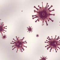 USDA National Animal Disease Preparedness and Response Program 2025 (United States)