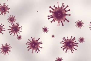 USDA National Animal Disease Preparedness and Response Program 2025 (United States)