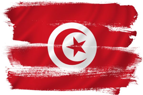 Direct Aid Program in Tunisia