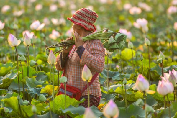 Call for Proposals: Small-Scale Projects 2024 (Cambodia)