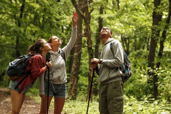 Kleinhans Fellowship for Community Forestry Research
