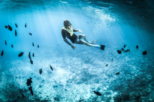 12th Annual Ocean Awareness Contest: Climate Heroes in Action