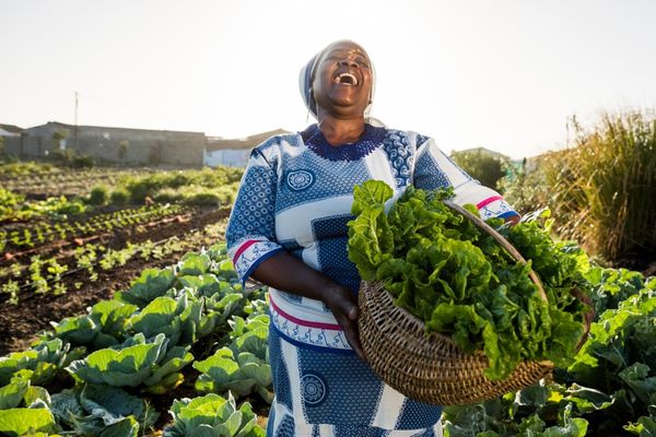 Accelerator Mentorship Programme for Women-led SMEs in Africa