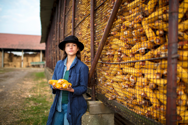 Apply for NBCUniversal Local Impact Grants (United States)