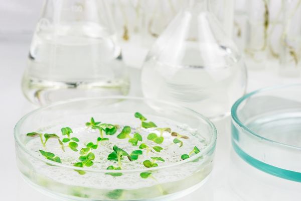 BBSRC Follow-on Fund and super Follow-on Fund (UK)