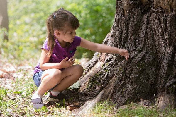 Nature-based Learning