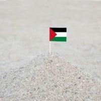 Call for Proposals for Upskilling and Vocational Reskilling Pathways in Palestine