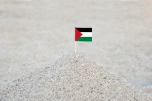 Call for Proposals for Upskilling and Vocational Reskilling Pathways in Palestine