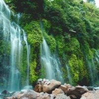 Pulitzer Center announces Congo Basin Rainforest Journalism Fund