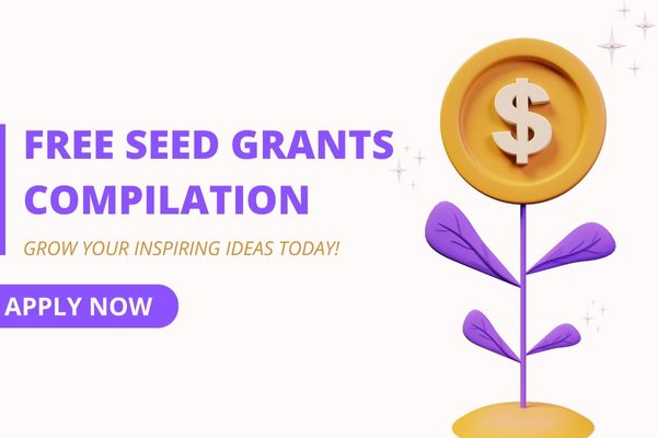 Seed Grants Roundup 2022 for New NGOs and Startups