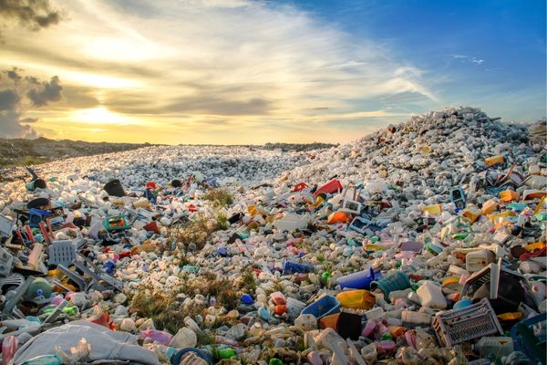 2023 RCE Youth Art Challenge: From Waste to Art