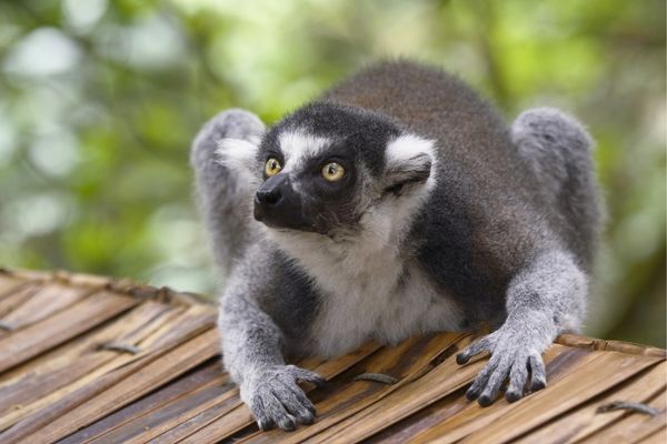 Habitat Conservation Trust Foundation announces Capacity Grants in Canada