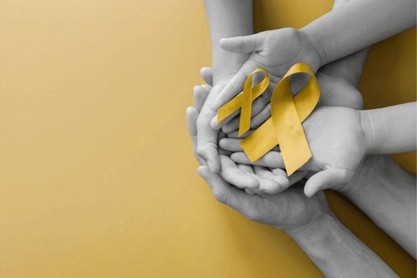 New Zealand: The Clinton and Joy Whitley Fund