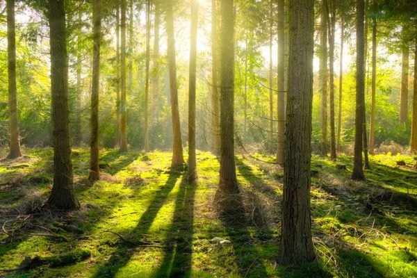 Conservation Education Grant Program in the United States