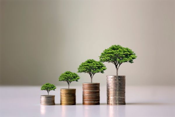Call for Proposals: Endeavour Fund in New Zealand