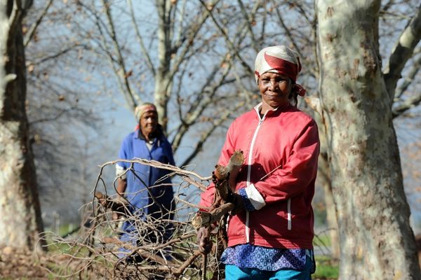 The Bill & Melinda Gates Foundation's Open Call for Innovative Approaches to Modeling of Women's Health Issues
