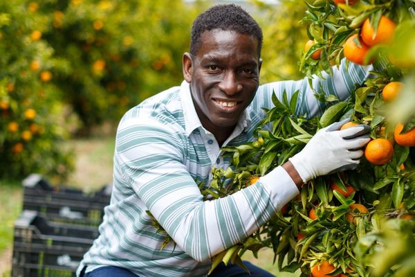 U.S. Embassy in Guinea: Public Diplomacy Grants Program