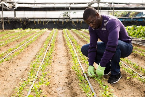 Applications Open for Climate & Equity Policy Grants - United States