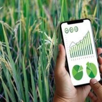 Egypt: Ebtekar Digital Agriculture Startup Program - Cycle 2 - fundsforNGOs Egypt: Ebtekar Digital Agriculture Startup Program - Cycle 2